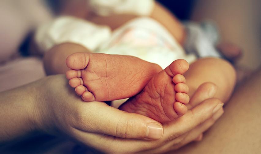 A close-up of a baby's feet inside a parent's hand.