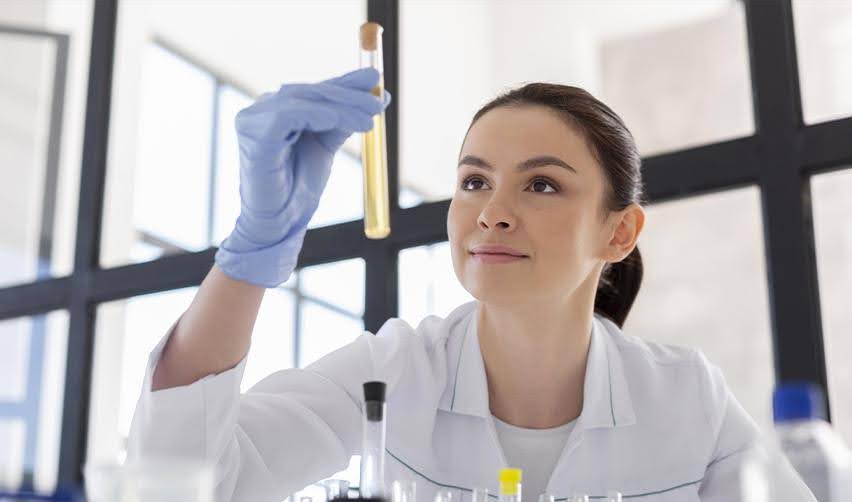 Understanding the EB-1 Visa