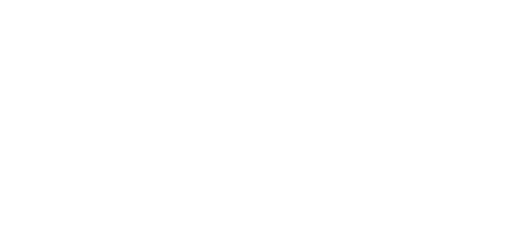 Third Coast Bank Logo White